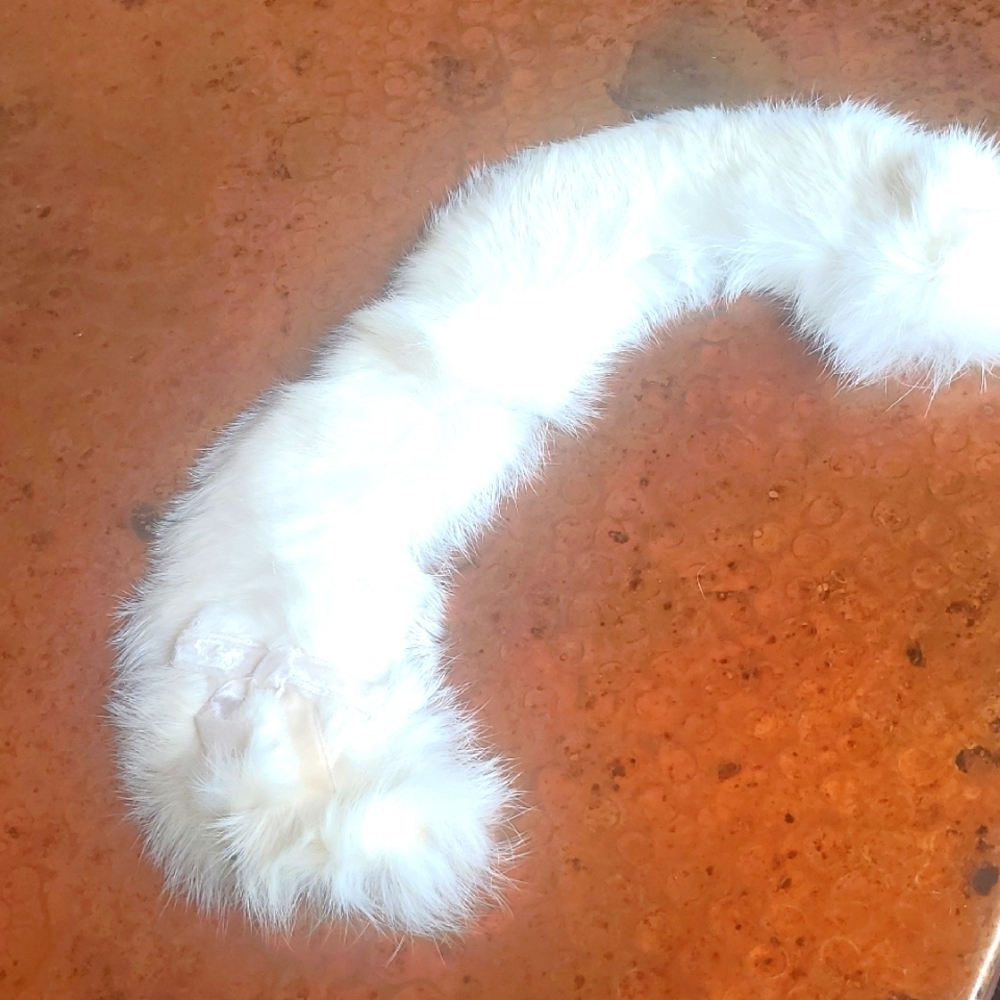 Classic Vintage‎ Elegant White Mink Fur Collar With Fur w Clasp Closure